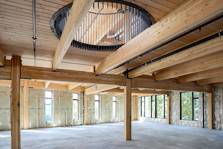 Cedar Speedster mass timber frames