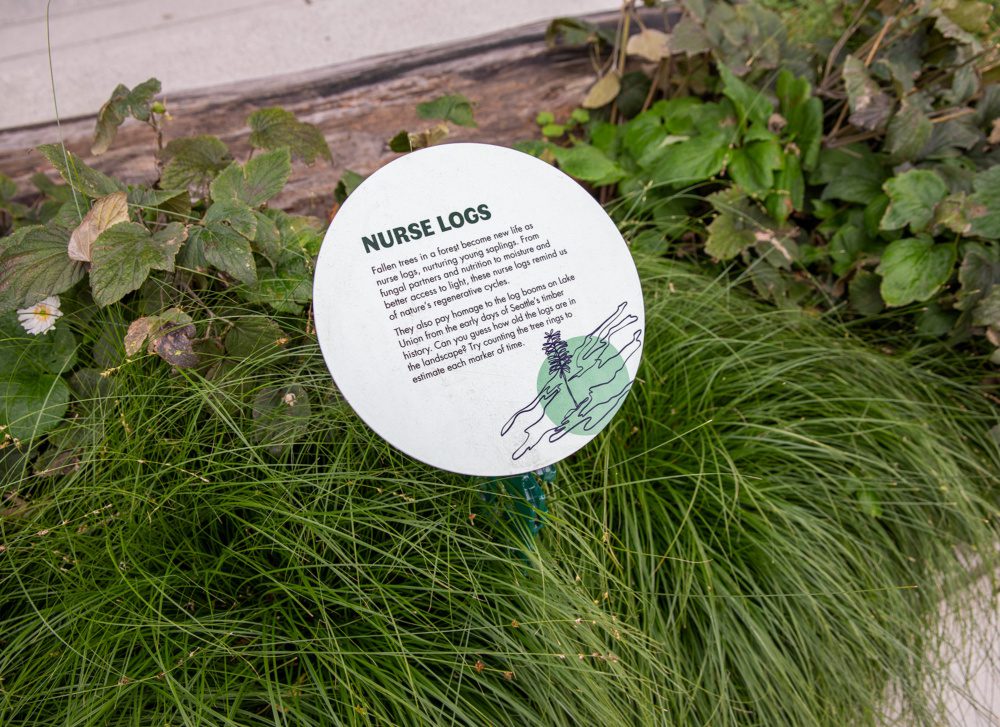 An angled, round landscape marker in tall grasses describes nurse logs with text and illustration