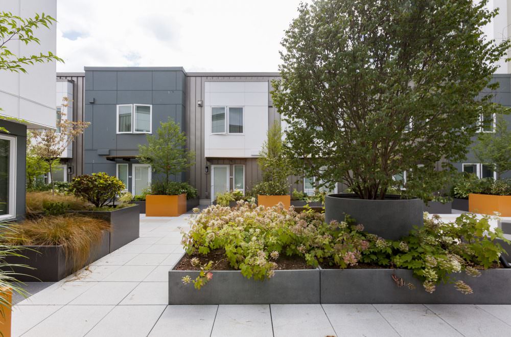 Raven Terrace at Yesler Terrace Landscape Architecture