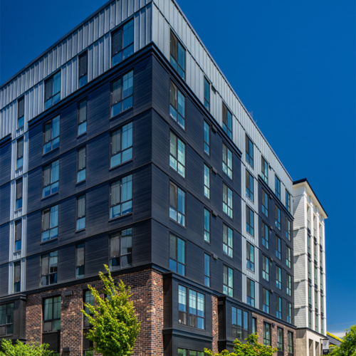 photo of the corner of arista on a sunny day