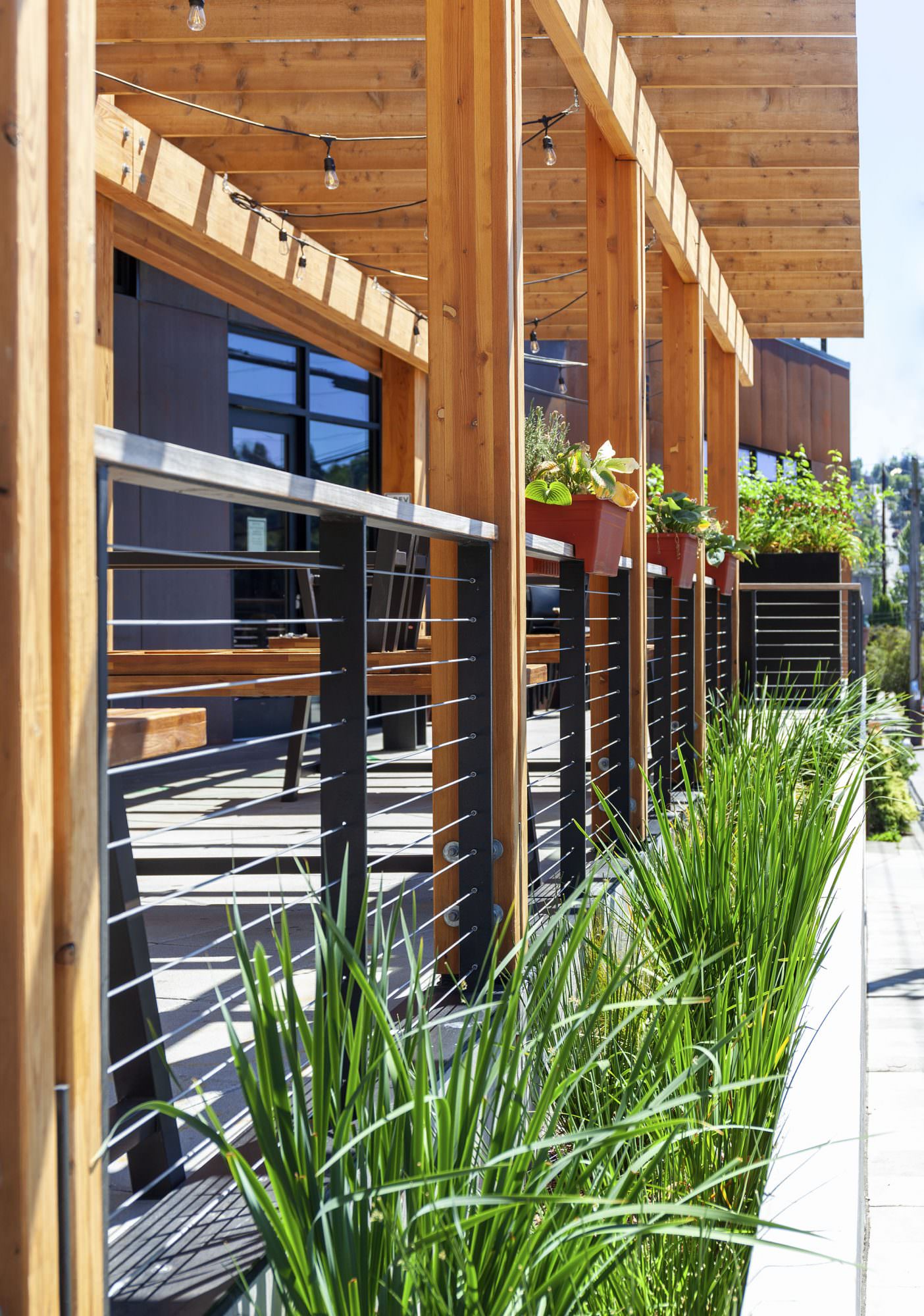 Cedar Speedster Landscape Architecture