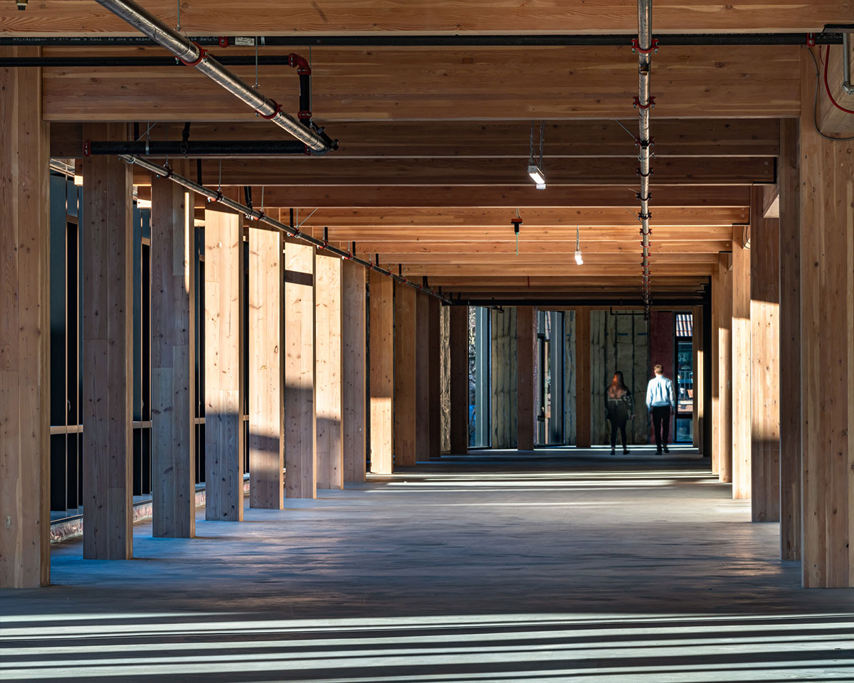 Photo of the interior of northlake commons with the mass timber and sunlight beaming through