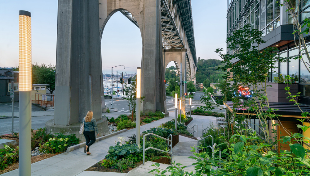 Photo of Phase one of the Aurora Bridge Swales at dusk looking towards Lake Union