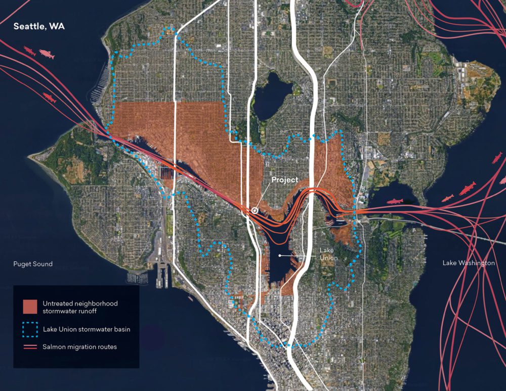 Map showing the migration path of salmon in Seattle through Lake Union