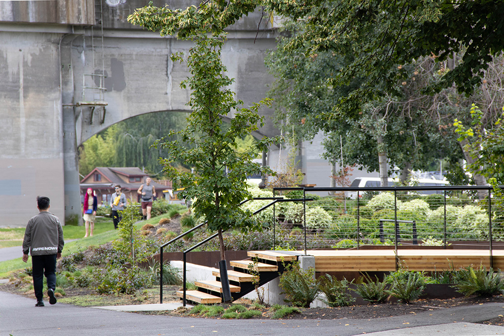 Photo of the Aurora Bridge Bioswale in Fremont with people walking on the Burke Gilman Trail