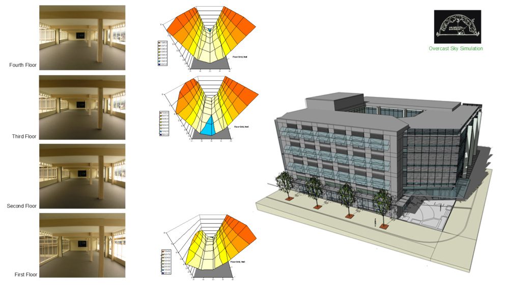 graphic showing the daylighting studies of the terry thomas